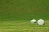 Thumbs/tn_Dsc_7223.jpg
