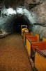 Thumbs/tn_Dsc_7237.jpg