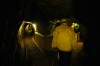 Thumbs/tn_Dsc_7238.jpg