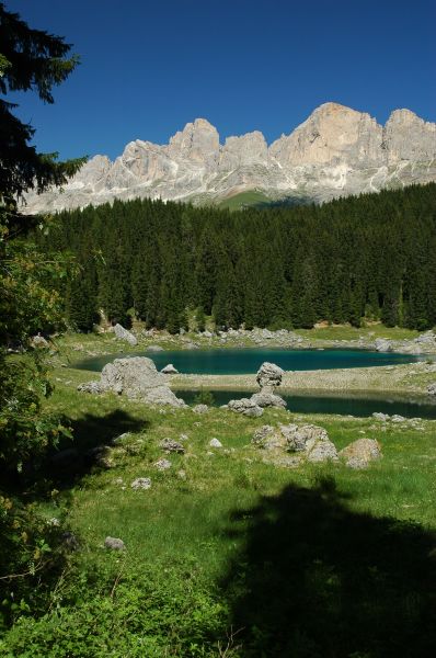 ../Images/Dsc_8644.jpg