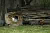 Thumbs/tn_DSC_70992207.jpg