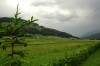 Thumbs/tn_Dsc_7077.jpg