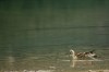 Thumbs/tn_Dsc_8066.jpg