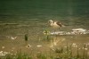 Thumbs/tn_Dsc_8068.jpg
