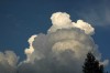 Thumbs/tn_Dsc_8124.jpg