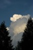 Thumbs/tn_Dsc_8126.jpg