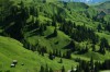 Thumbs/tn_Dsc_8634.jpg