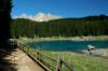Thumbs/tn_Dsc_8641.jpg