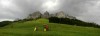 Thumbs/tn_Stitched_003.jpg