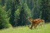 Thumbs/tn_Dsc_7471.jpg