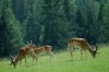 Thumbs/tn_Dsc_7473.jpg