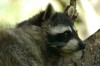 Thumbs/tn_Dsc_7507.jpg