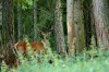 Thumbs/tn_Dsc_7524.jpg