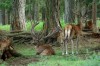 Thumbs/tn_Dsc_7528.jpg