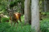 Thumbs/tn_Dsc_7531.jpg