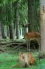 Thumbs/tn_Dsc_7543.jpg
