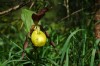 Thumbs/tn_Dsc_7576.jpg