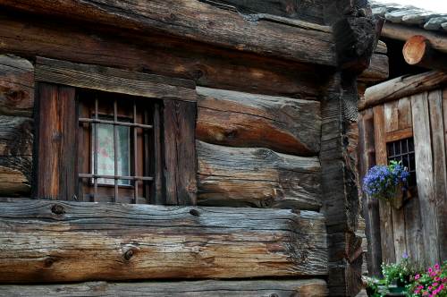../Images/Dsc_8845.jpg