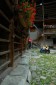 Thumbs/tn_Dsc_8823.jpg