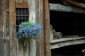 Thumbs/tn_Dsc_8831.jpg