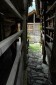 Thumbs/tn_Dsc_8833.jpg