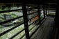 Thumbs/tn_Dsc_8837.jpg