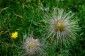 Thumbs/tn_Dsc_8937.jpg