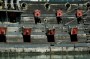 Thumbs/tn_Dsc_0964.jpg