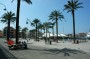 Thumbs/tn_Dsc_0976.jpg
