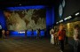 Thumbs/tn_Dsc_0984.jpg