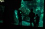 Thumbs/tn_Dsc_0995.jpg