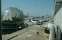 Thumbs/tn_Dsc_1020.jpg
