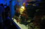 Thumbs/tn_Dsc_1025.jpg