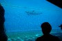Thumbs/tn_Dsc_1035.jpg