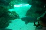 Thumbs/tn_Dsc_1044.jpg