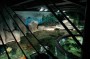Thumbs/tn_Dsc_1089.jpg