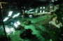 Thumbs/tn_Dsc_1102.jpg