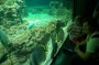 Thumbs/tn_Dsc_1117.jpg