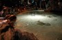 Thumbs/tn_Dsc_1154.jpg