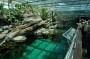Thumbs/tn_Dsc_1162.jpg