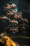 Thumbs/tn_Dsc_1178.jpg