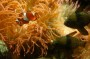 Thumbs/tn_Dsc_1182.jpg