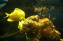 Thumbs/tn_Dsc_1186.jpg