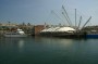 Thumbs/tn_Dsc_1199.jpg