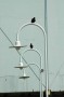 Thumbs/tn_Dsc_1221.jpg