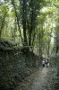 Thumbs/tn__dsc4129.jpg