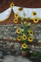 Thumbs/tn_Dsc_2435.jpg