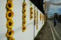 Thumbs/tn_Dsc_2442.jpg