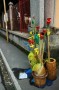 Thumbs/tn_Dsc_2462.jpg