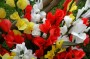 Thumbs/tn_Dsc_2469.jpg